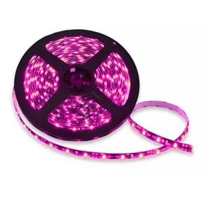 ROLLO LED 5050 DE 5M CON 60 LEDS/M FONDO NEGRO ROSA (ROLLO)